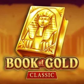 game logo by Playson on spellwins.com.de
