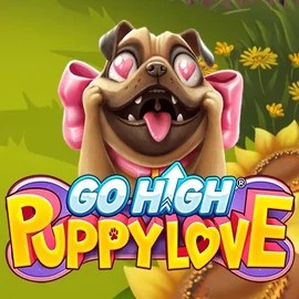game logo by RubyPlay on spellwins.com.de